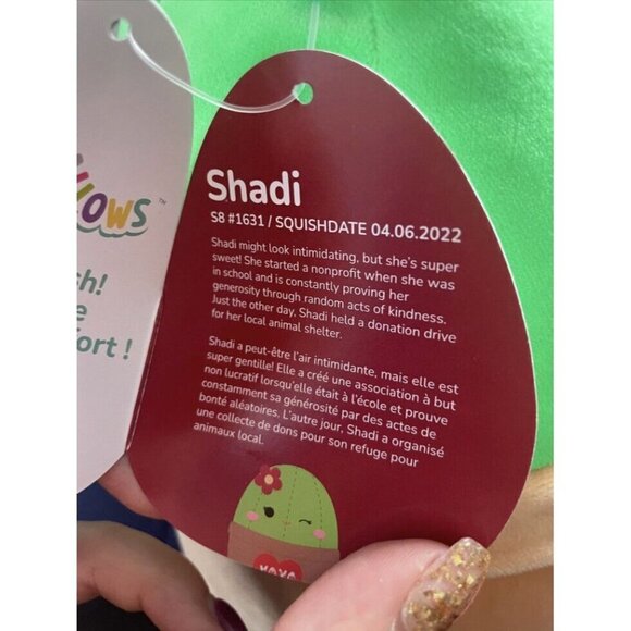 NWT Squishmallows SHADI The Cactus 8" Valentines 2023 XOXO Heart Stuffed - Picture 4 of 4